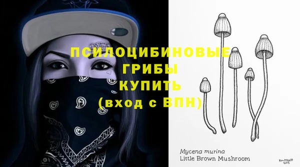 PSILOCYBIN Куйбышев