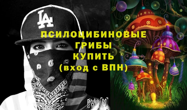 индика Кукмор