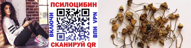 Псилоцибиновые грибы прущие грибы  Мезень 